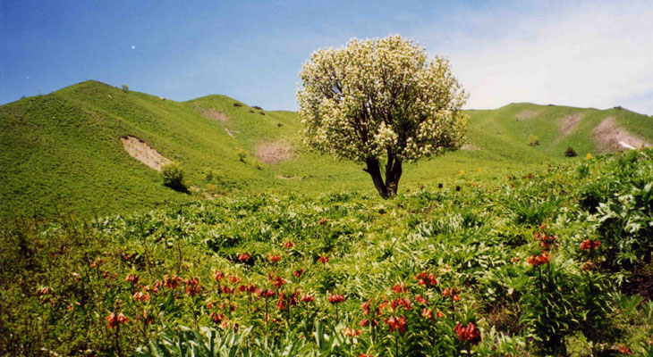 Spring is a perfect time to go outside and enjoy the sunshine